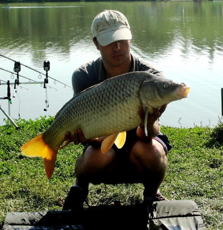 Floarea Popestiului 7 - 7 oct. - DSC07533.jpg